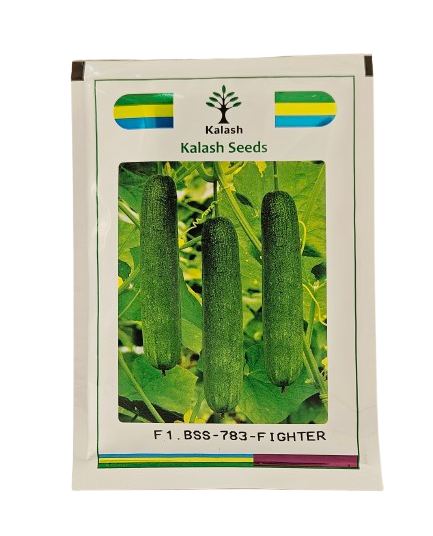 Buy Cucumber Kalash Bss 783 Fighter Seeds Online in India – Dhartibeej