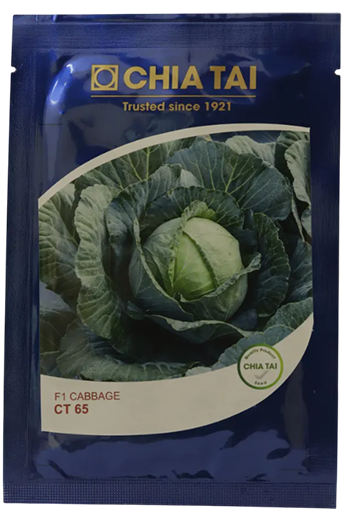 Buy Cabbage Chiatai Ct 65 Seeds Online in India – Dhartibeej
