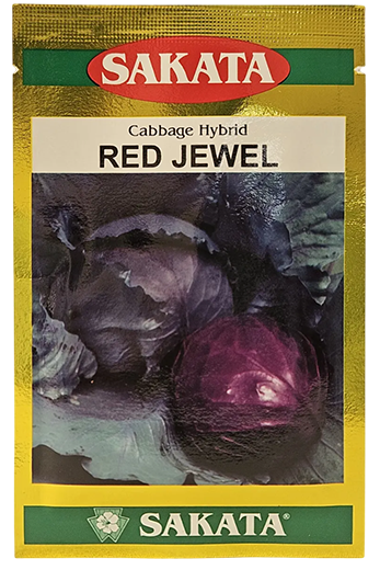 Cabbage Sakata Red Jewel Seeds Online India – Dhartibeej
