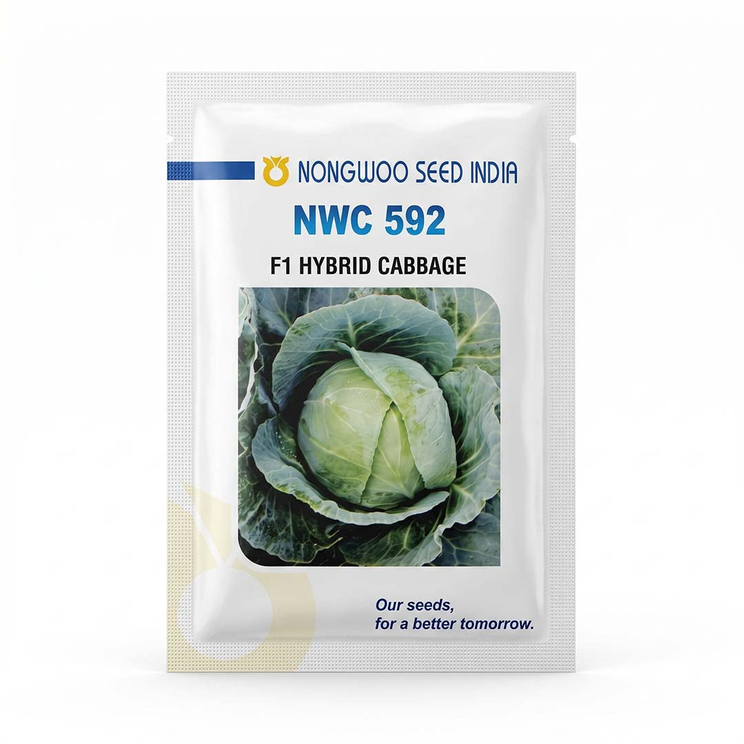 Cabbage Nongwoo Nwc 592