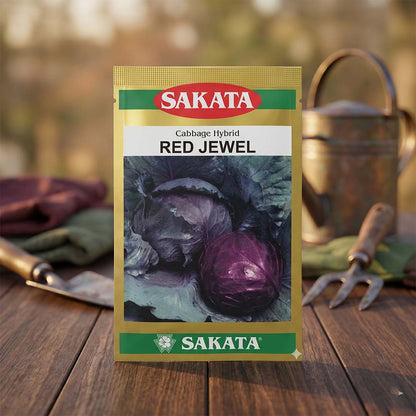Cabbage Sakata Red Jewel Seeds Online | Dhartibeej