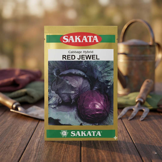 Cabbage Sakata Red Jewel Seeds Online | Dhartibeej
