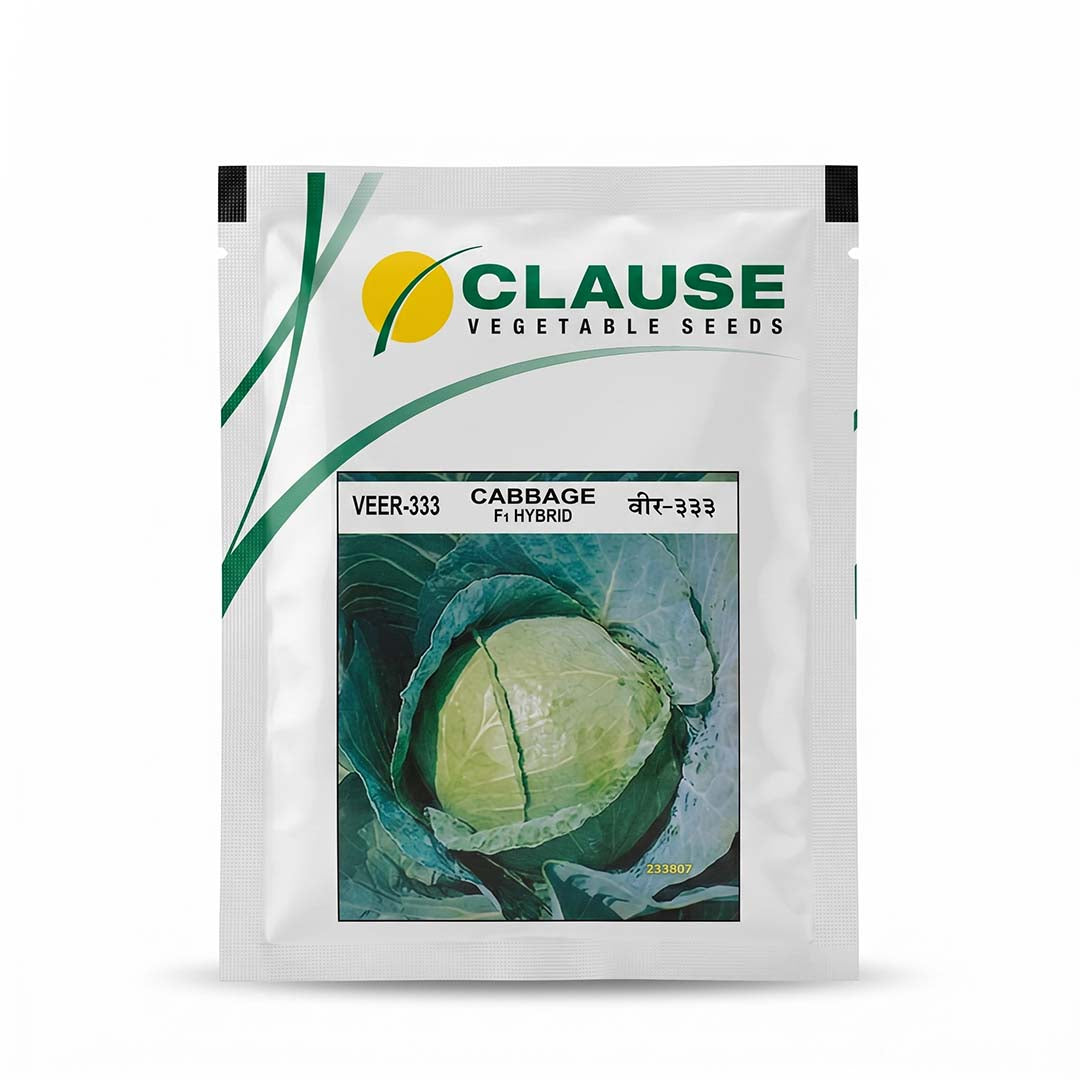 Cabbage Clause Veer-333