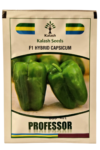 Capsicum Kalash Bss 401 Professor Seeds Online India – Dhartibeej
