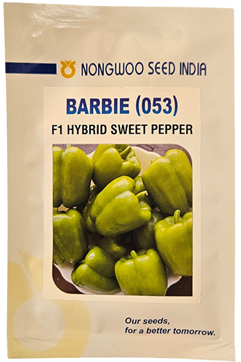 Capsicum Nongwoo Barbie Seeds Online India – Dhartibeej