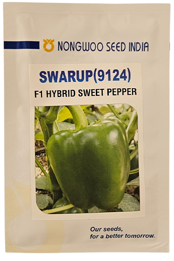 Capsicum Nongwoo Swarup Seeds for High Yield Farming – Dhartibeej