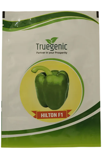 Buy Capsicum Truegenic Hilton Seeds Online in India – Dhartibeej