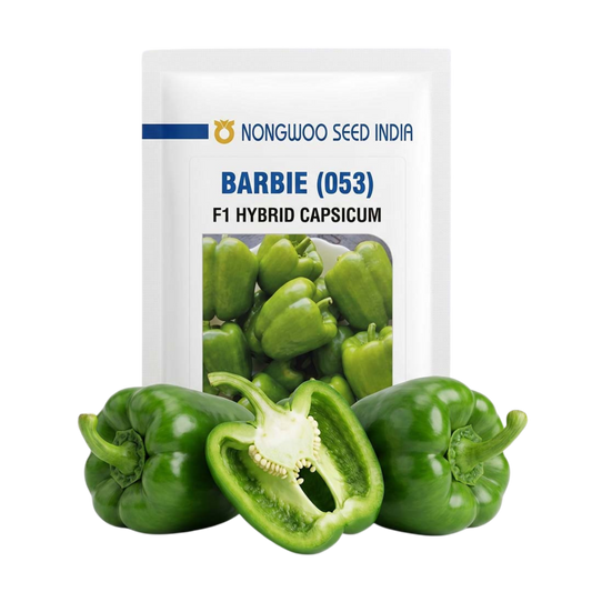 Capsicum Nongwoo Barbie Seeds Online | Dhartibeej