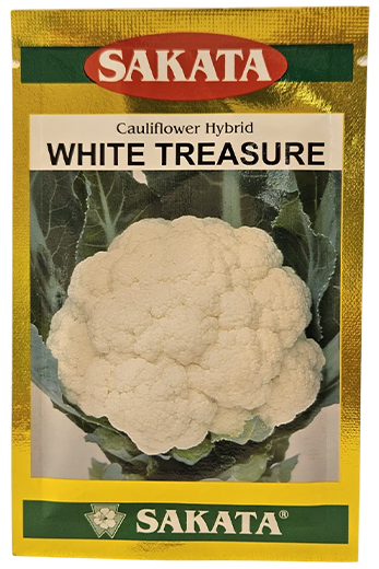 Cauliflower Sakata White Treasure Seeds for High Yield Farming – Dhartibeej