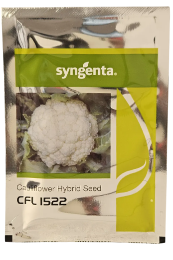 Cauliflower Syn 1522 Seeds Online India – Dhartibeej