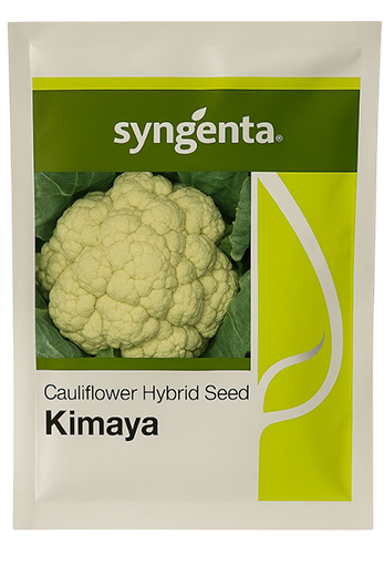Buy Cauliflower Syn Kimaya Seeds Online in India – Dhartibeej
