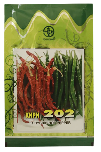 Chilli Kaveri Khph 202 Seeds Online India – Dhartibeej
