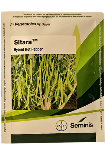 Buy Chilli Monsanto Sitara Seeds Online in India – Dhartibeej

