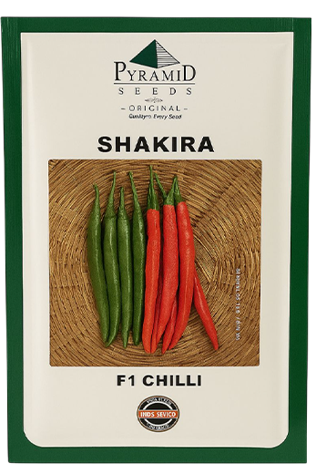 Buy Chilli Namdeo Shakira Seeds Online in India – Dhartibeej
