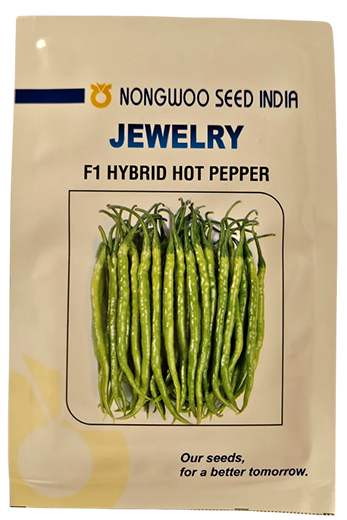 Chilli Nongwoo Jewelry Seeds Online India – Dhartibeej
