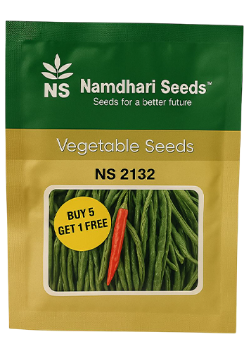 Buy Chilli Ns 2132 Seeds Online in India – Dhartibeej
