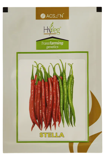 Buy Chilli Rasi Stella Seeds Online in India – Dhartibeej
