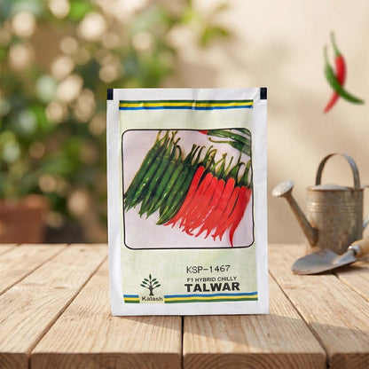 Chilli Kalash Ksp 1467 Talwar Seeds for High Yield Farming | Dhartibeej