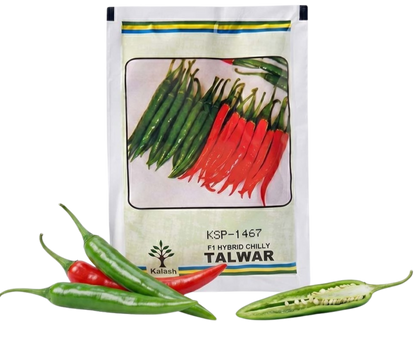 Chilli Kalash Ksp 1467 Talwar Seeds for High Yield Farming | Dhartibeej