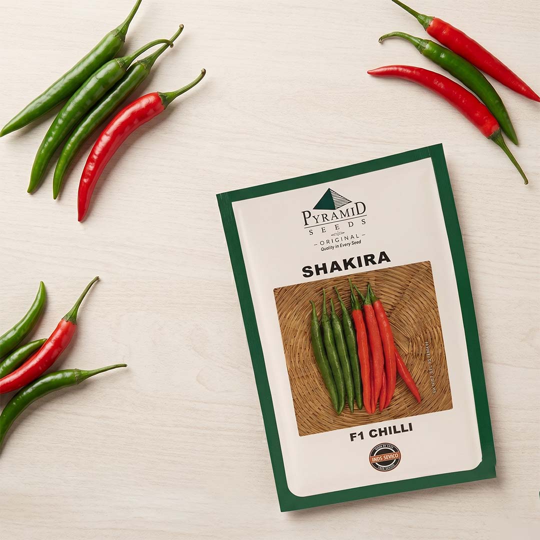 Chilli Namdeo Shakira