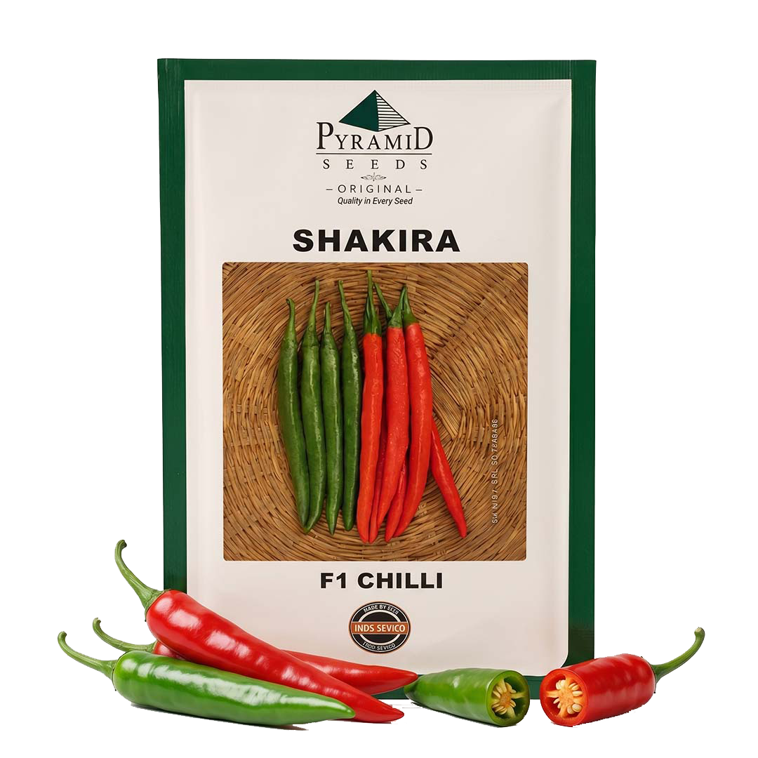 Chilli Namdeo Shakira
