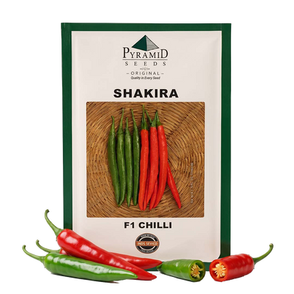 Chilli Namdeo Shakira