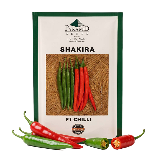Chilli Namdeo Shakira