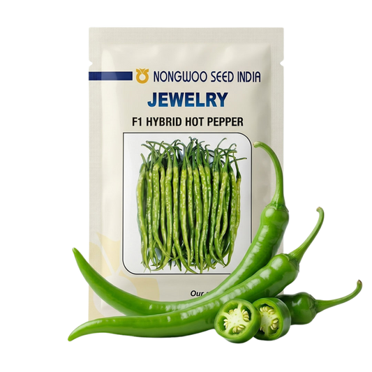 Chilli Nongwoo Jewelry Seeds Online | Dhartibeej