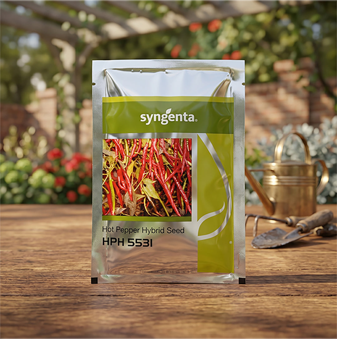 Chilli Syn Hph 5531 Seeds Online | Dhartibeej