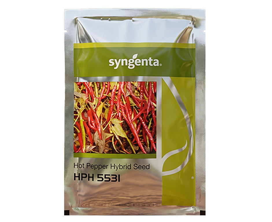 Chilli Syn Hph 5531 Seeds Online | Dhartibeej