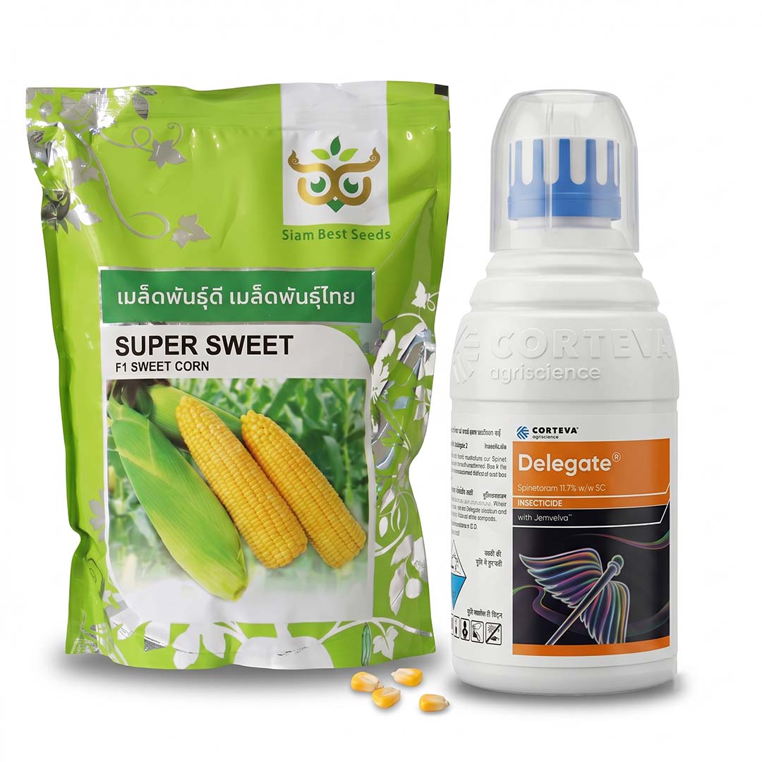 Sweetcorn Saim Super Sweet 1 kg + Delegate 100 ml