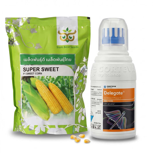 Sweetcorn Saim Super Sweet 1 kg + Delegate 100 ml