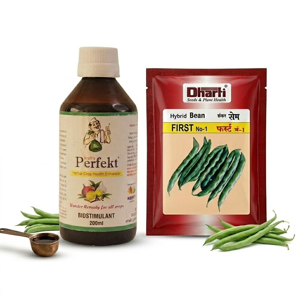 Beans Dharti First 100 gm + Perfekt Global 30 ml