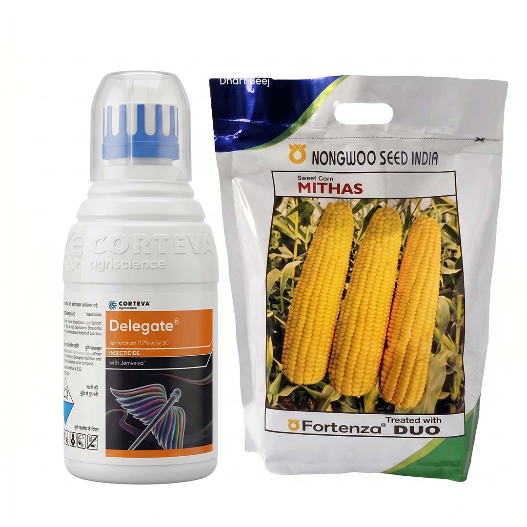Sweetcorn Nongwoo Mithas 1 kg + Delegate 100 ml