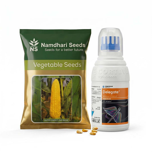 Sweetcorn Ns Super Sweet (Ns8609) 500 gm + Delegate 100 ml