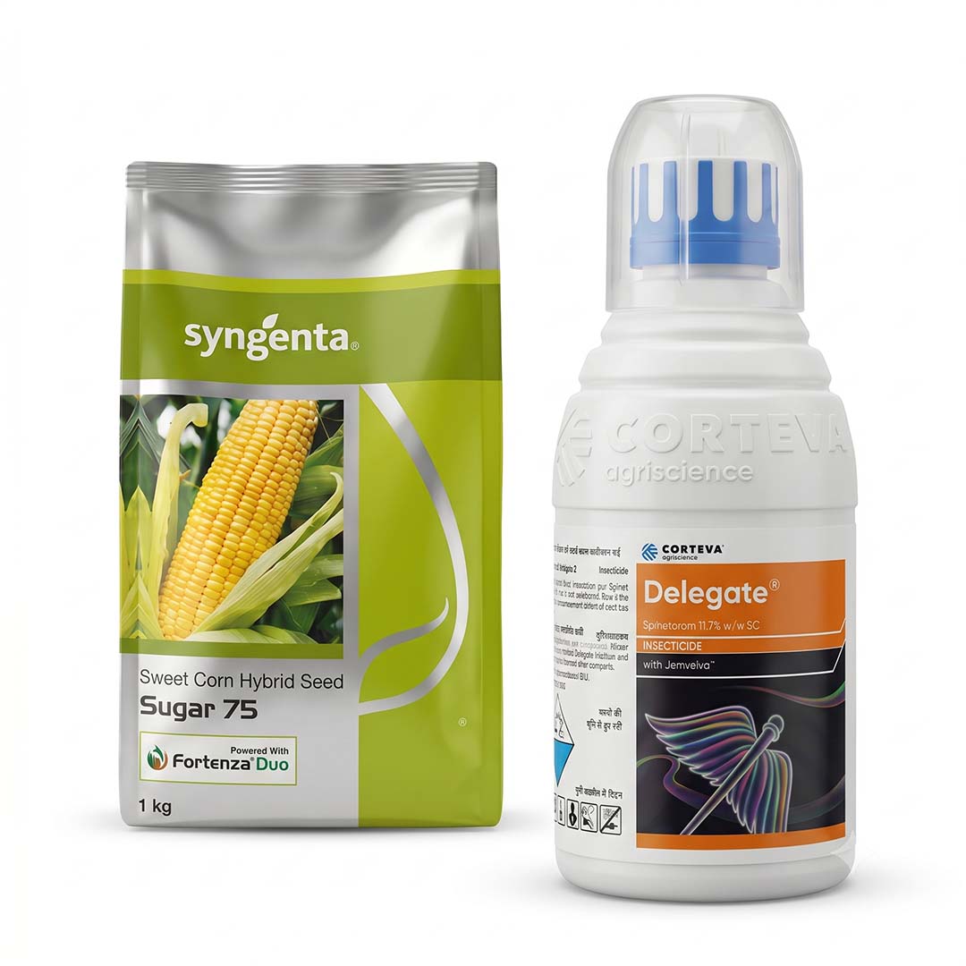 Sweetcorn Syn Sugar -75 1 kg + Delegate 100 ml