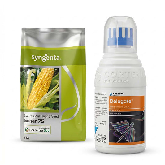 SYN Sugar-75 Sweet Corn + Delegate Combo – Dhartibeej