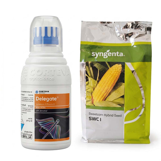 SYN SWC-1 Sweet Corn + Delegate Combo Online – Dhartibeej