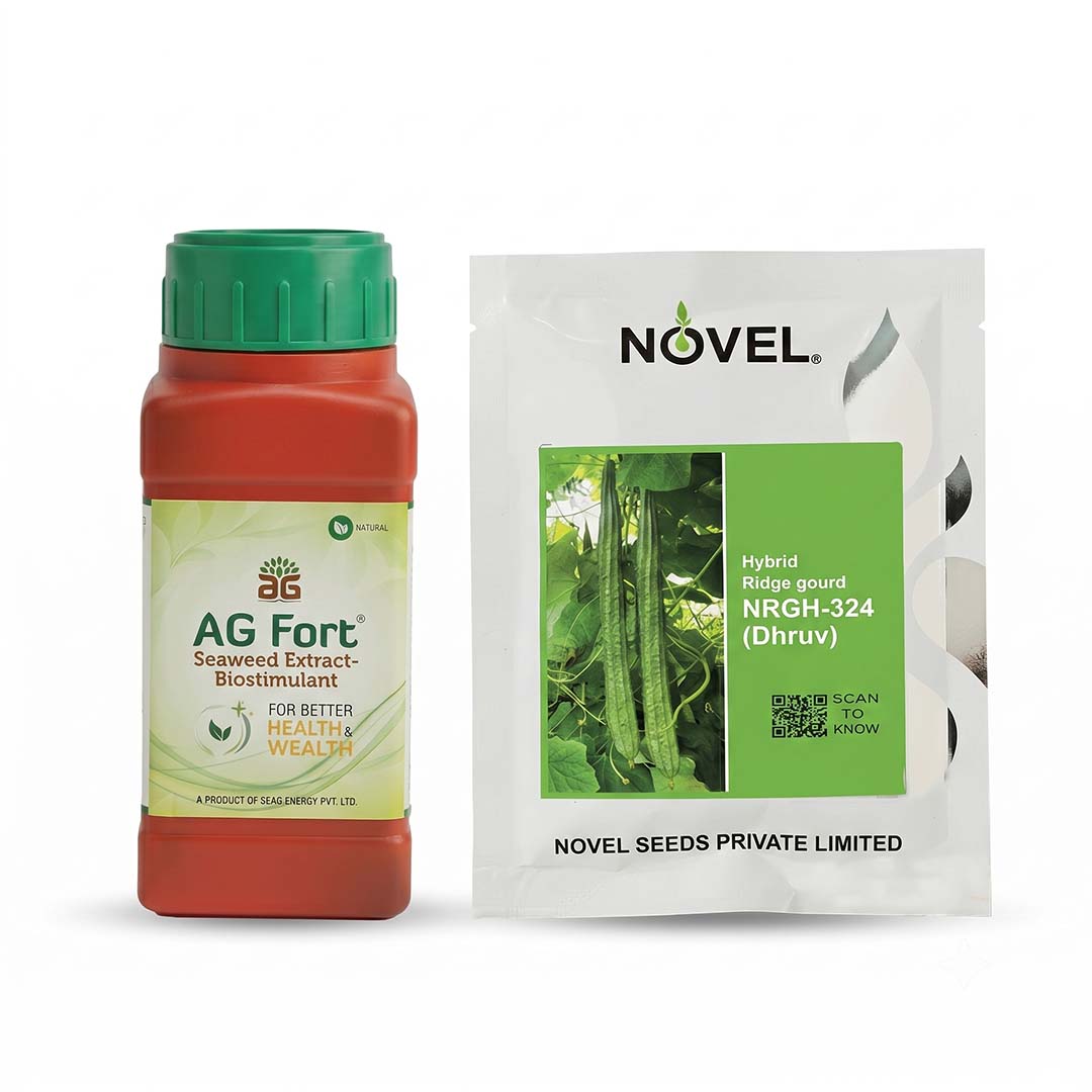 Ridgegourd Novel Nrgh 324 Dhruv 50 gm + AG fort 150 ml