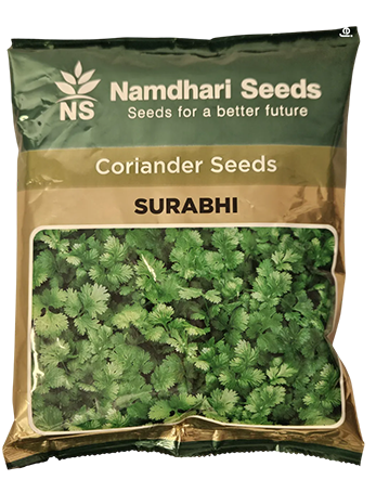 Buy Coriander Ns Surabhi Seeds Online in India – Dhartibeej