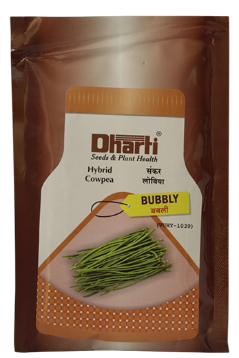 Cowpea Dharti Bubbly Seeds for High Yield Farming – Dhartibeej
