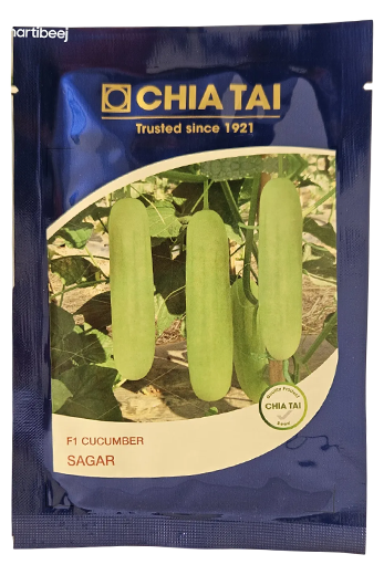 Cucumber Chiatai Sagar Seeds Online India - Dhartibeej