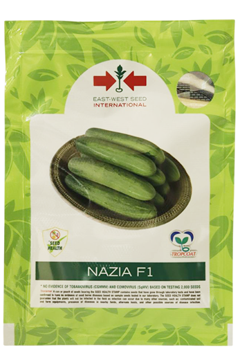 Cucumber East West Nazia F1 Seeds for High Yield Farming – Dhartibeej
