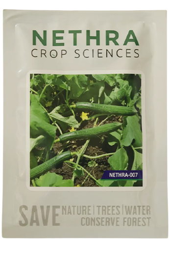 Cucumber Nethra 007 Seeds for High Yield Farming – Dhartibeej
