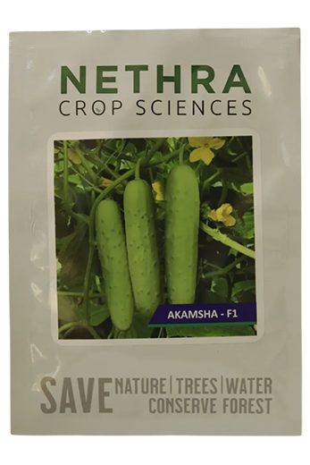 Cucumber Nethra Akamsha F1