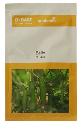 Buy Cucumber Nunhems Belle Seeds Online in India – Dhartibeej
