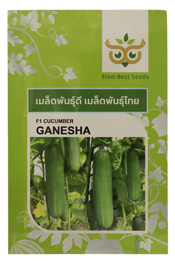 Buy Cucumber Siam Ganesha Seeds Online in India - Dhartibeej