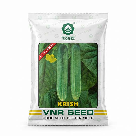 Cucumber Vnr Krish