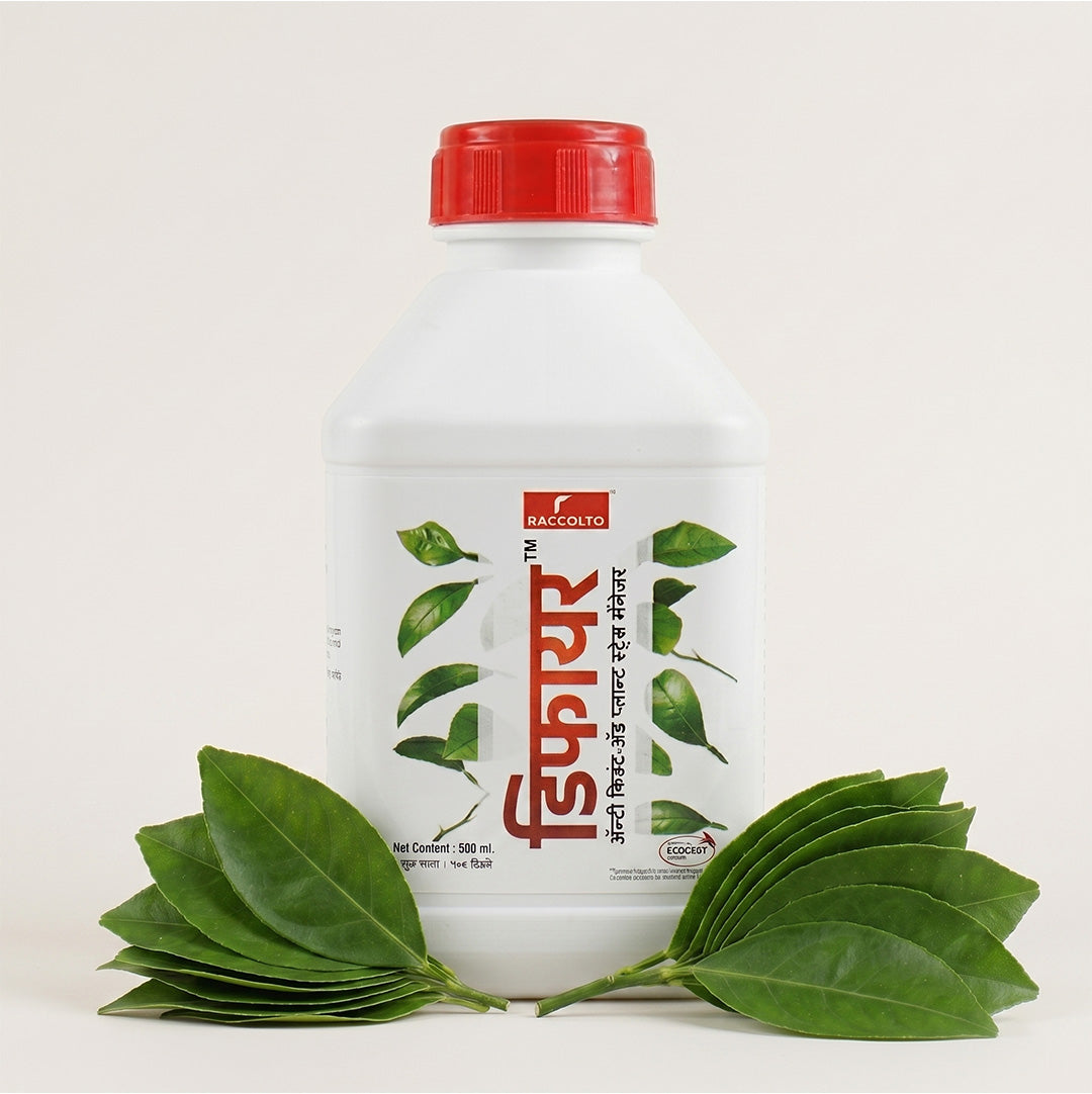 Defyer Raccolto