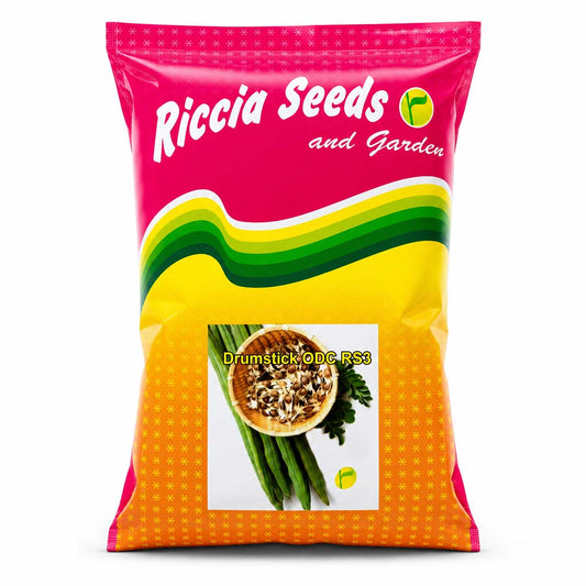 Drumstick Riccia Odc 3 Seeds Online | Dhartibeej
